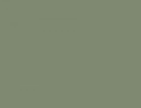 Matt Eucalyptus Green