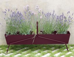 Basket Range Long Black Cherry