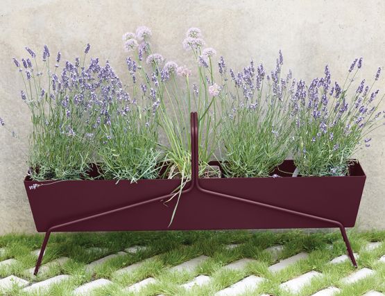 Basket Range Long Black Cherry