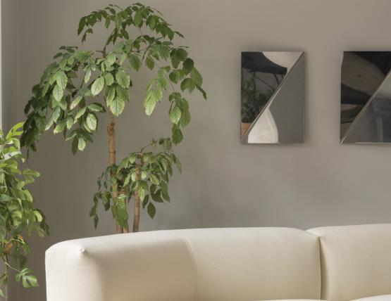 Gaze Ready For Web12