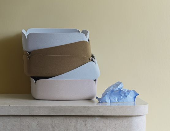 Restore Tray Insitu 2