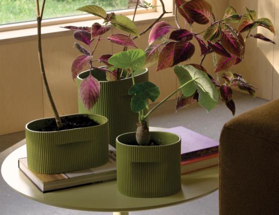 Ridge Planter Range Insitu 5